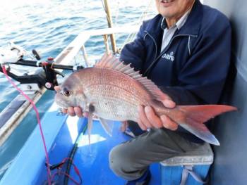 鯛紅丸 釣果