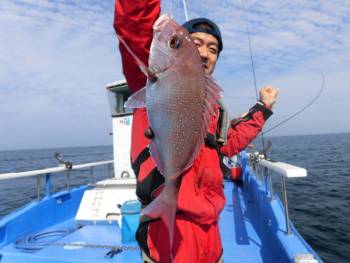 鯛紅丸 釣果