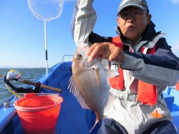 鯛紅丸 釣果