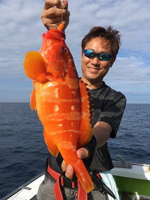 松栄丸 釣果