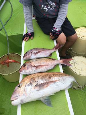 松栄丸 釣果