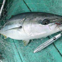 広進丸 釣果