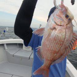 美里丸 釣果