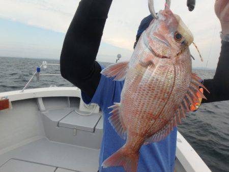 美里丸 釣果