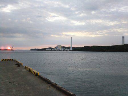 阿南市の中浦緑地公園周辺でタチウオ