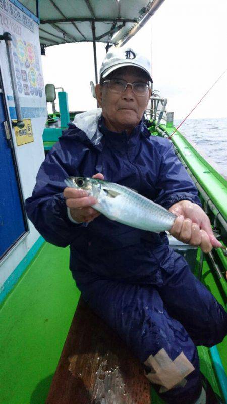 小島丸 釣果