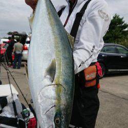 浅間丸 釣果