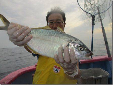 海正丸 釣果