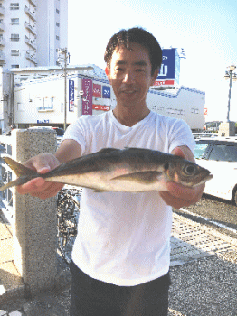 荒川屋 釣果