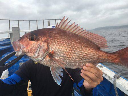 長栄丸(千葉) 釣果