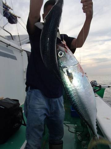 第二むつ漁丸 釣果