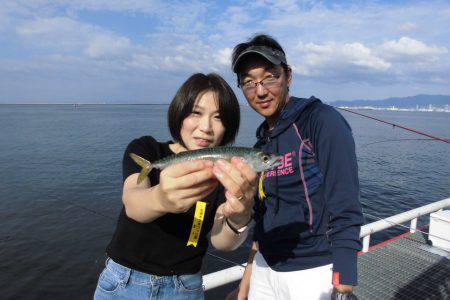 尼崎市立魚つり公園 釣果