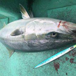 広進丸 釣果