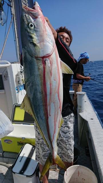 浅間丸 釣果