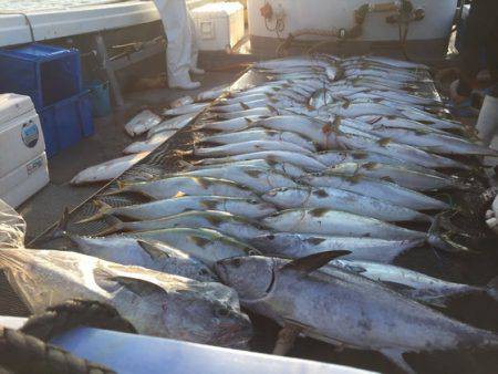 幸風（さちかぜ） 釣果