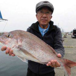 大進丸（新潟） 釣果