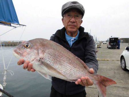 大進丸（新潟） 釣果