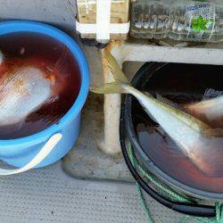 つれ鷹丸 釣果