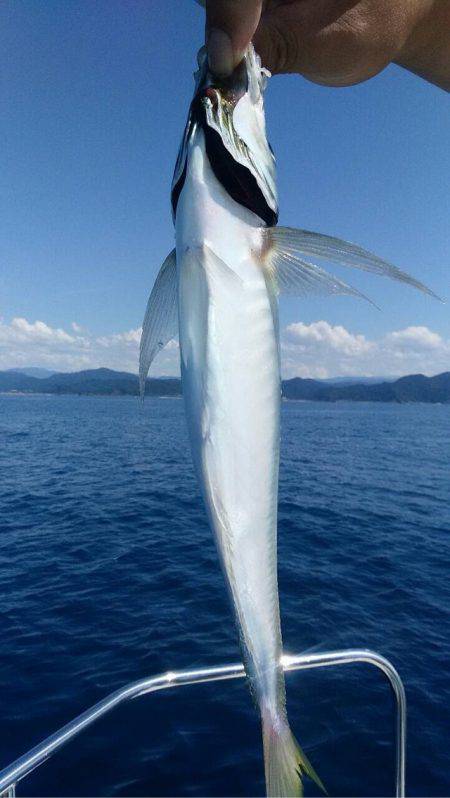 宝昌丸 釣果