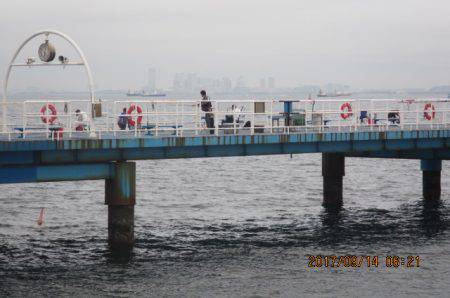 オリジナルメーカー海づり公園(市原市海づり施設) 釣果