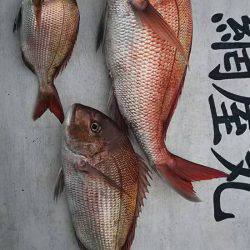 網屋丸 釣果