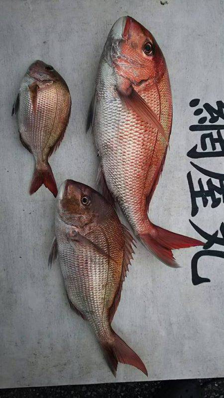 網屋丸 釣果