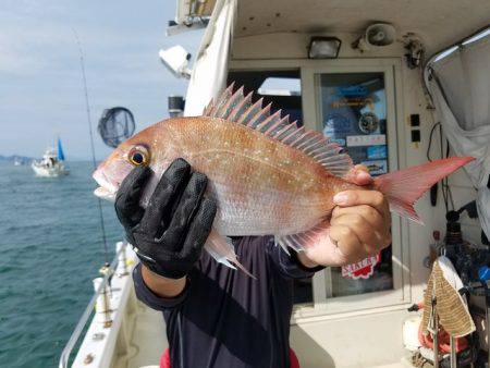 遊漁船　ニライカナイ 釣果