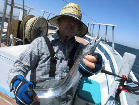 大進丸（愛知） 釣果