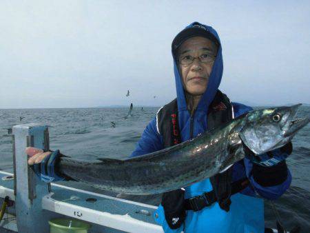 大進丸（愛知） 釣果