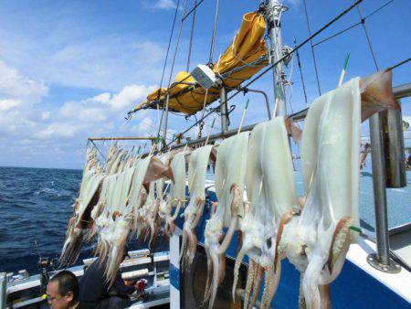 大進丸（愛知） 釣果