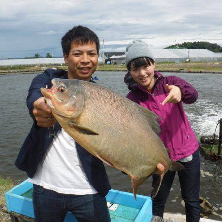 浜名湖フィッシングリゾート 釣果