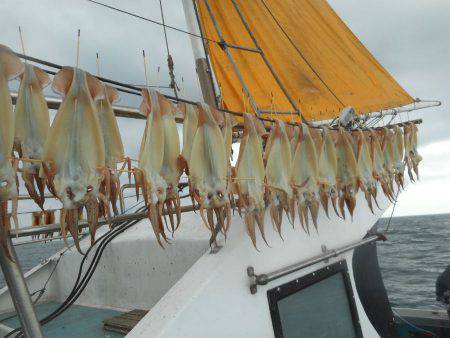 大進丸（愛知） 釣果