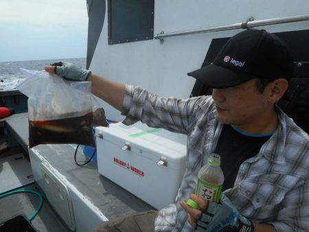 大進丸（愛知） 釣果