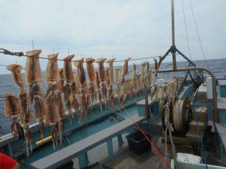 大進丸（愛知） 釣果