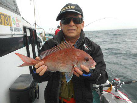 大進丸（愛知） 釣果