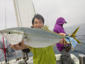 ブルーズ 釣果