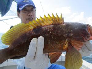 兼六丸 釣果