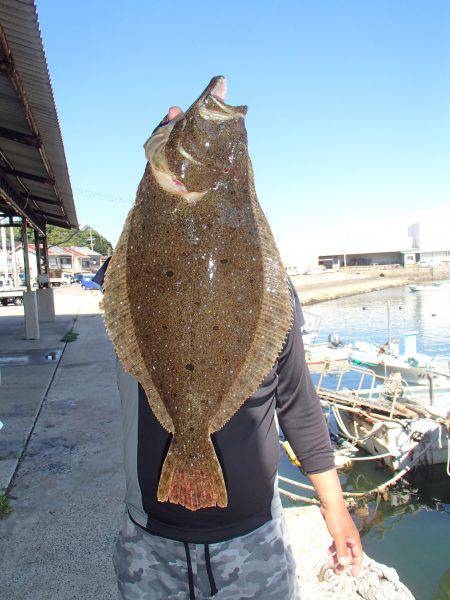 久六釣船 釣果