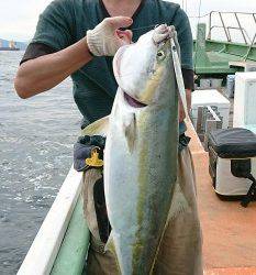 火遠理丸（ほおりまる） 釣果