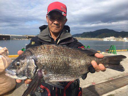 由良渡船 釣果