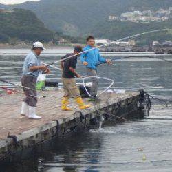 淡路じゃのひれフィッシングパーク 釣果