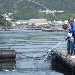 淡路じゃのひれフィッシングパーク 釣果