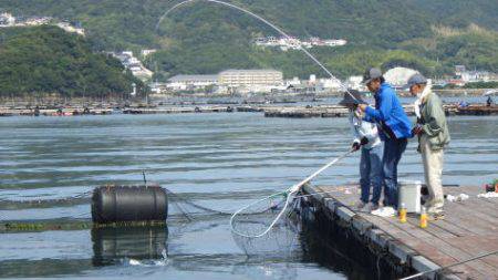 淡路じゃのひれフィッシングパーク 釣果