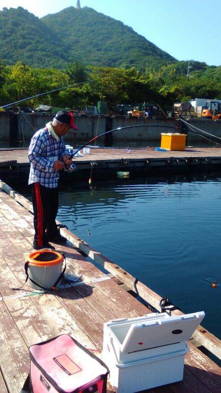 淡路じゃのひれフィッシングパーク 釣果