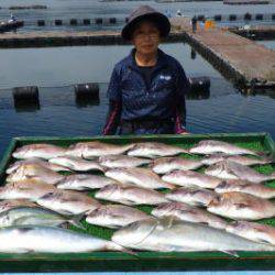 淡路じゃのひれフィッシングパーク 釣果