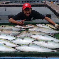 淡路じゃのひれフィッシングパーク 釣果