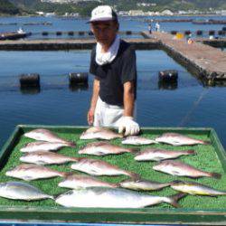 淡路じゃのひれフィッシングパーク 釣果