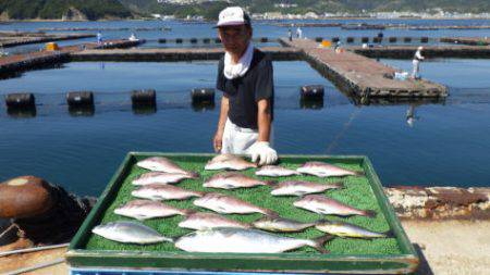 淡路じゃのひれフィッシングパーク 釣果