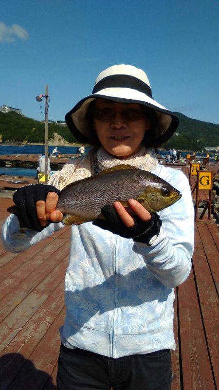 淡路じゃのひれフィッシングパーク 釣果