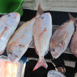 釣吉丸 釣果